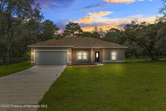 14481 Mount Ivy Rd, Brooksville, FL 34614