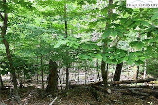 102 Blackberry Trail, Beech Mountain, NC 28604