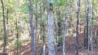 40 Ac. 154 Country Rd, Coffeeville, MS 38922