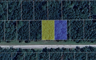 9273 N Athenia Dr, Citrus Springs, FL 34434