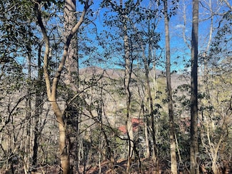 146 Center St Unit 9 & 10, Black Mountain, NC 28711