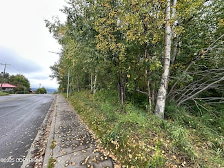 L C021 S Valley Way, Palmer, AK 99645