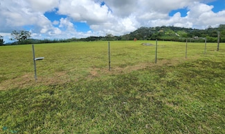 7722 Bo Cuyón Ruta Panoramica, Aibonito, PR 00705