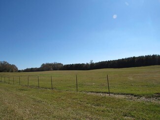 000 Maude Ln SW, Bogue Chitto, MS 39629
