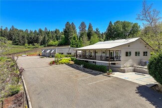 2875 Larsen Dr, Camino, CA 95709
