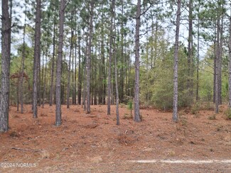 0 Over Lyon Rd, Kelly, NC 28448