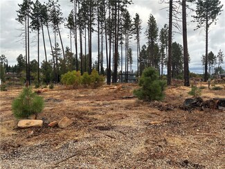 1439 Powell Ln, Paradise, CA 95969