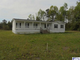 2218 Quail Farm Rd, Clio, SC 29525