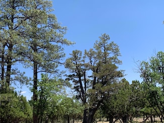 4083 Durango Dr, Happy Jack, AZ 86024