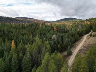 TBD Schlegel Ranch Lot 12 Rd, Ione, WA 99139