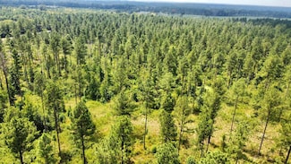 + - 195 Acres Unit Hinds County MS, Utica, MS 39170