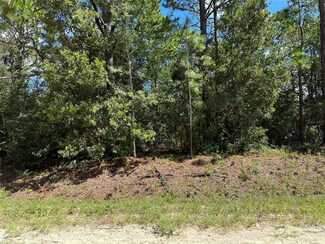 0 SW 80th Streets Unit MFRO6134797, Dunnellon, FL 34432