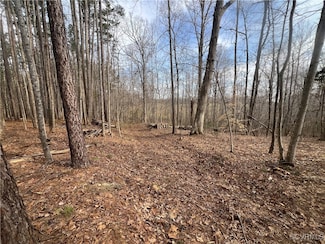 6073 Preakness Stakes Ln, Powhatan, VA 23139