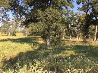 Lot 5, Block 1 County Road 175, Iola, TX 77861