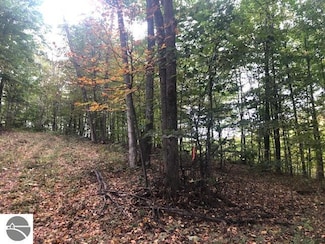 Parcel B N Mariah Ln, Leelanau Township, MI 49670