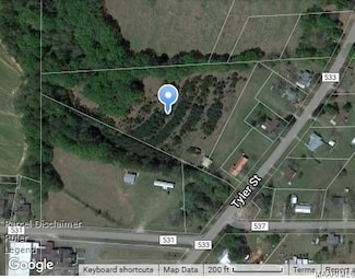 TBD County Road 533, New Brockton, AL 36351