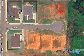 107 Thrasher Cir, Madison, AL 35756