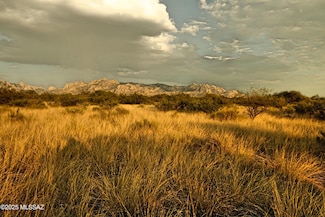 Lot 17 N Dragoon Ranch Rd Unit 17, St. David, AZ 85630