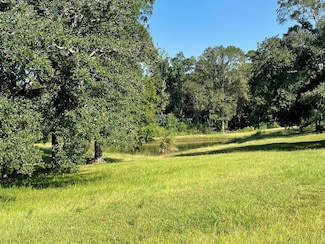 1452c Caesar Necaise Rd, Carriere, MS 39426