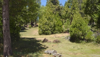 42101 Tourmaline Ln Unit lot79, Shaver Lake, CA 93664