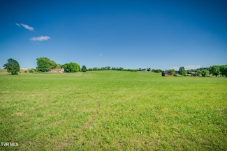1222 Clear Springs Rd, Limestone, TN 37681