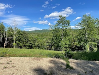 00 Hill Rd, Brookline, VT 05345