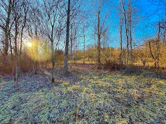 TBD Sycamore Hollow Rd, Worthington, WV 26591