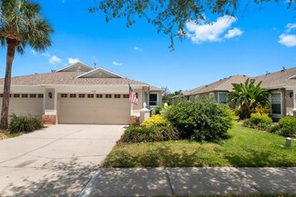 15738 Phoebepark Ave, Lithia, FL 33547