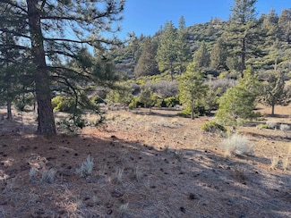 Unit 5 Lot 12 Palmer Dr Unit 5, Lake Shastina, CA 96094