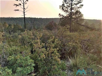 52 Milton Rd, Timberon, NM 88350
