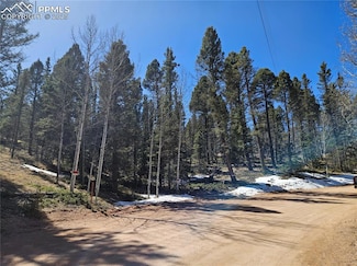 550 Manchester Dr, Florissant, CO 80816