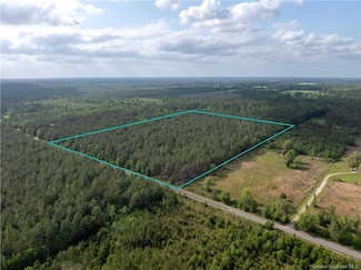 0 Morrow Bridge Rd Unit SWL25002320, Dry Creek, LA 70657