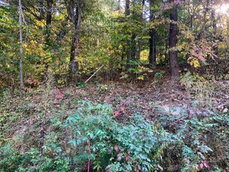 0 State Route 325 Unit 222038974, Vinton, OH 45686