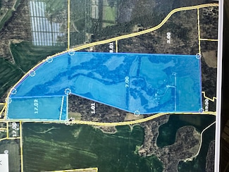 5605 Hwy 140 W, McKenzie, TN 38201