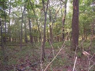 0 W Outer Rd Unit 17042309, Farmington, MO 63640