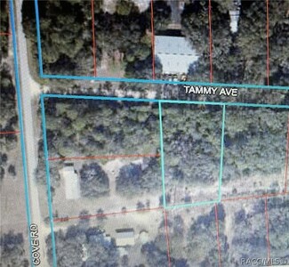 38 Tammy Ave, Inglis, FL 34449