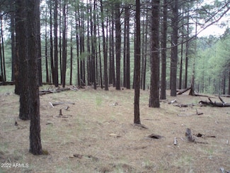 Pcl1&2 Coconino Forest Road 137a --, Happy Jack, AZ 86024