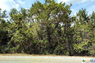 1146 Zane Grey Ln, Spring Branch, TX 78070