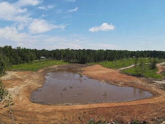 County Road 33, Georgiana, AL 36033