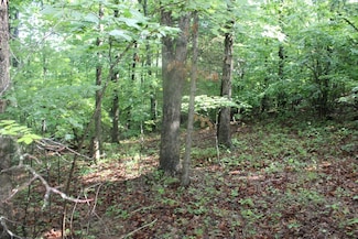 3295 Cozahome Rd, Harriet, AR 72639