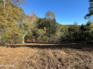 3 Button Buck Ln, Lafollette, TN 37766