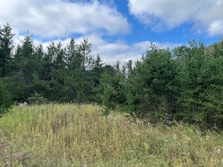 1707 Hassman Hill Tract D Rd SW, Pine River, MN 56474