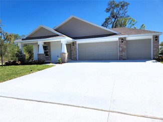 417 Shannon Estates Ct, Plant City, FL 33563