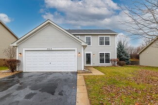 4513 Deames St, Plano, IL 60545