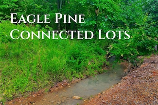 113 Eagle Pine Ln, Hochatown, OK 74728