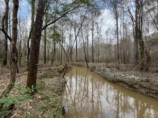1365 Mickle Smith Trail SW, Bogue Chitto, MS 39629