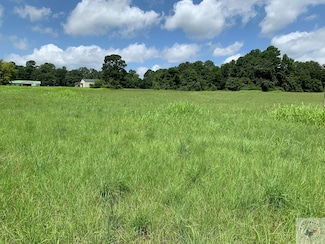 TBD Farm To Market 785, Atlanta, TX 75551