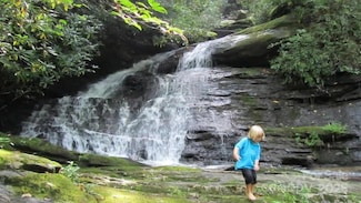282 H and H Trail, Black Mountain, NC 28711