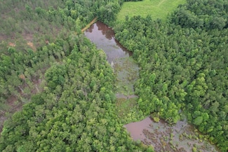 County Road 21, Silas, AL 36919