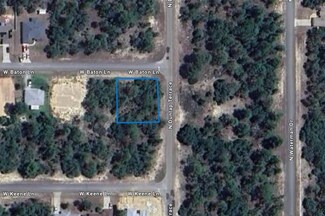 3804 W Baton Ln, Pine Ridge, FL 34433